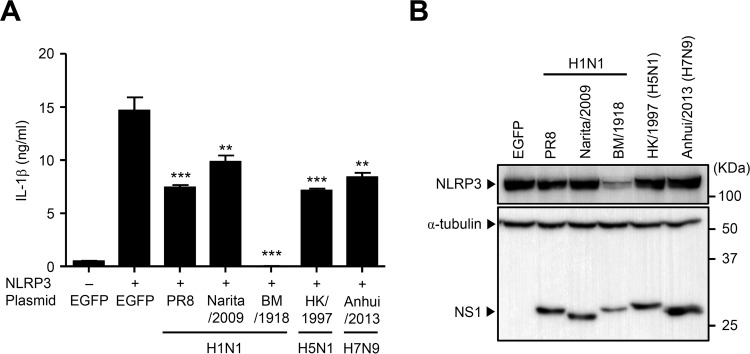 FIG 6