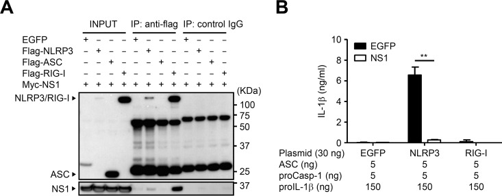 FIG 4