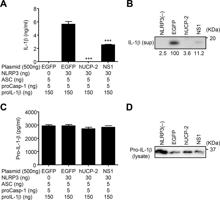 FIG 1