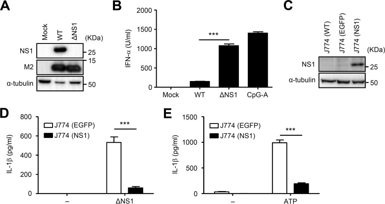 FIG 2