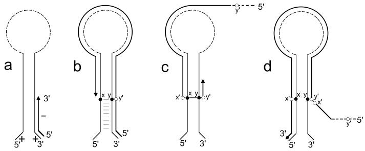 FIG. 7