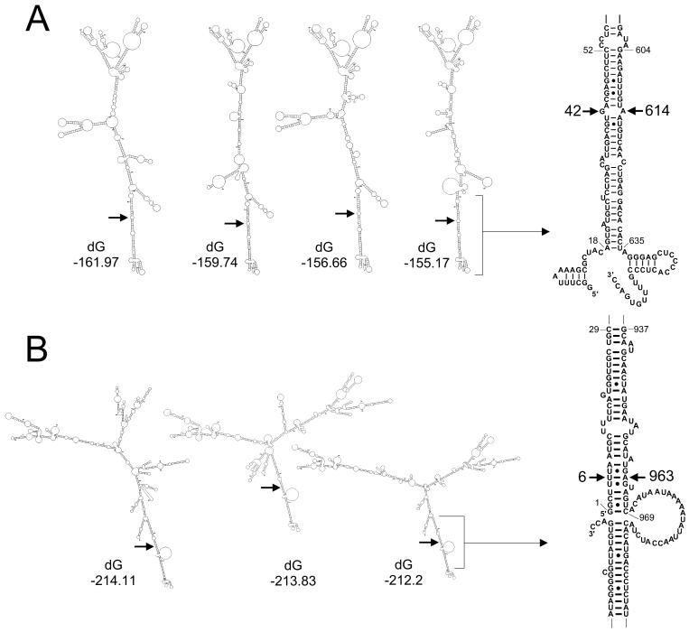 FIG. 6