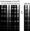 FIG. 3