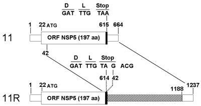 FIG. 5