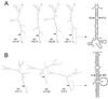 FIG. 6