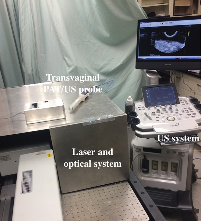 Figure 1: