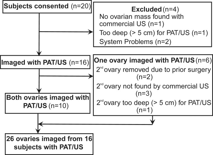 Figure 2: