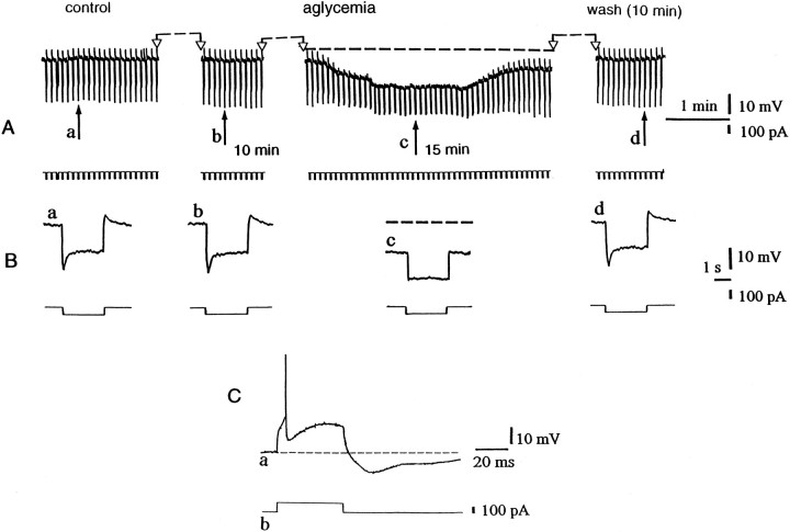 Fig. 6.