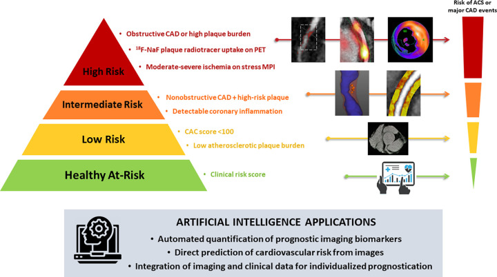 Artificial intelligence (AI) in cardiovascular imaging for risk stratification. Clinical risk stratification based on anatomic and functional imaging assessment of coronary artery disease (CAD). The image case examples (from left to right) correspond to the descriptions (from top to bottom) adjacent to the risk pyramid. AI algorithms can perform automated measurements of prognostic biomarkers from image data. Additionally, conventional or AI-based imaging parameters can be combined with clinical data using machine learning models for individualized risk prediction. ACS = acute coronary syndrome, CAC = coronary artery calcium, 18F-NaF = fluorine 18 sodium fluoride, MPI = myocardial perfusion imaging.