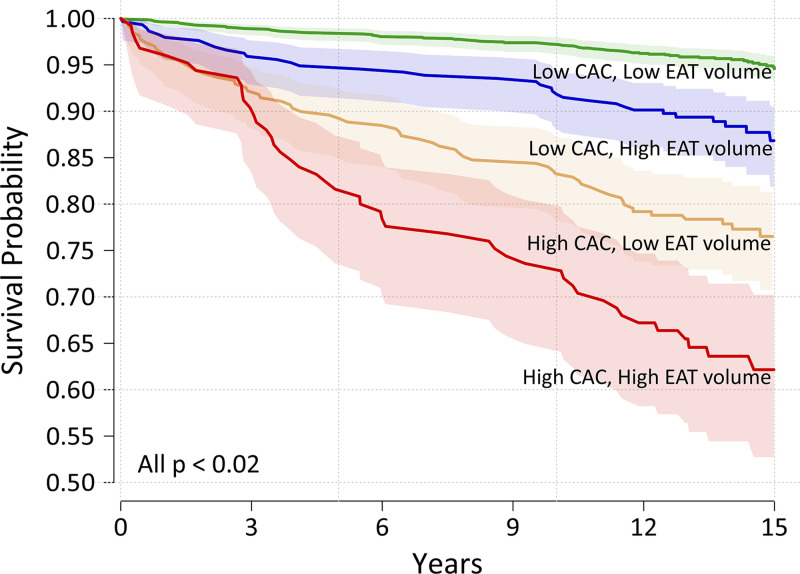 Risk stratification by coronary artery calcium (CAC) score and deep learning–based epicardial adipose tissue (EAT) volume. Kaplan-Meier curves of MACE-free survival in asymptomatic individuals from the Early Identification of Subclinical Atherosclerosis by Noninvasive Imaging Research trial stratified by low (< 100) versus high (≥ 100) CAC score and low (< 113 cm3) versus high (≥ 113 cm3) EAT volume. Risk was highest in individuals with a high CAC score and high EAT volume. (Reprinted, with permission, from reference 39.)