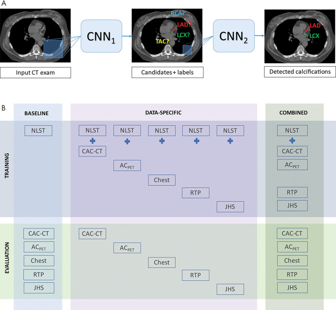 Automatic coronary artery calcium scoring. A, The deep learning algorithm consists of two convolutional neural networks (CNNs). The first CNN (CNN1) detects candidate calcifications (voxels) with attenuation of greater than 130 HU and assigns them to a coronary artery, and the second CNN (CNN2) detects true calcified voxels among candidates detected by the first CNN. B, The baseline algorithm was trained with National Lung Screening Trial (NLST) scans, and its performance was evaluated in each CT protocol type. Five data-specific algorithms were trained, according to CT protocol type, and evaluated in the respective CT type. The combined algorithm was trained and evaluated using all available CT protocol types. CT types used for training were NLST CT scans, coronary artery calcium scoring CT (CAC-CT), PET attenuation correction CT (ACPET), diagnostic chest (Chest) CT, radiation therapy treatment planning (RTP) CT, and Jackson Heart Study (JHS) CT scans. exam = examination, LAD = left anterior descending artery, LCX = left circumflex artery, RCA = right coronary artery, TAC = thoracic aorta calcification. (Reprinted, with permission, from reference 9.)