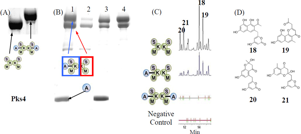 Figure 4