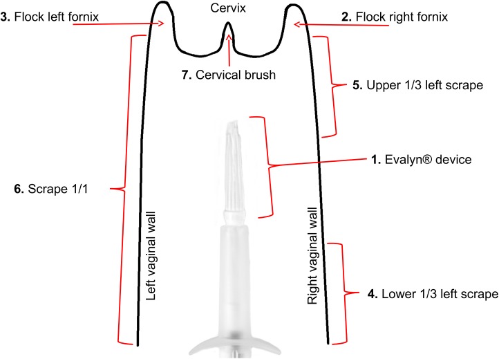 Fig 1