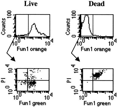 FIG. 4