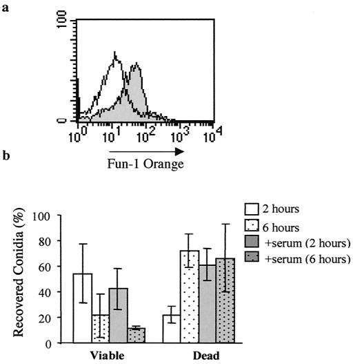 FIG. 7