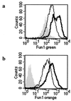 FIG. 6