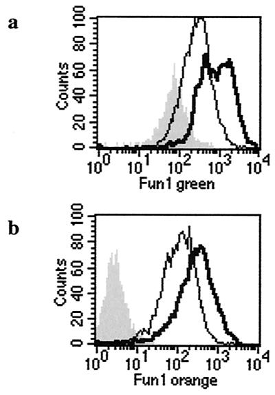 FIG. 6