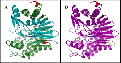 FIGURE 1.