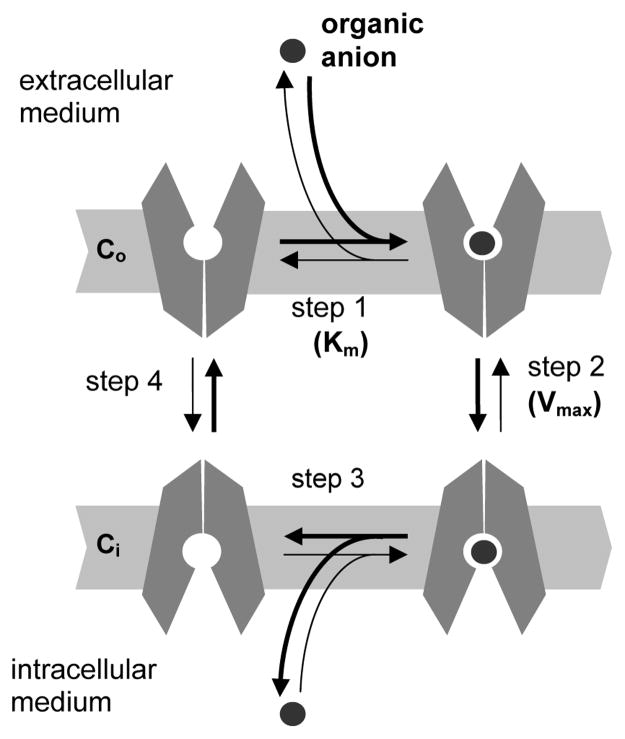 Figure 8