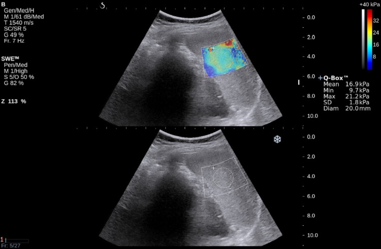 Fig. 2