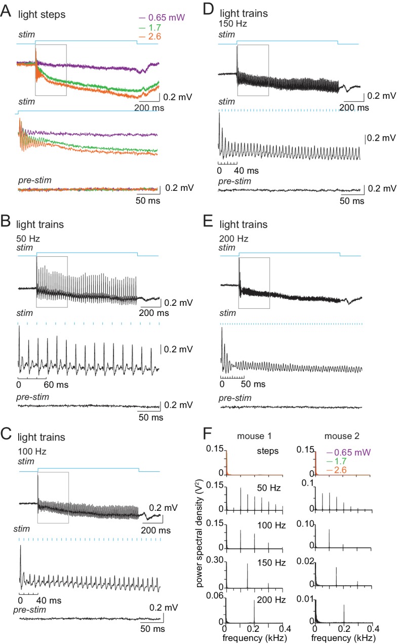 Figure 7—figure supplement 1.