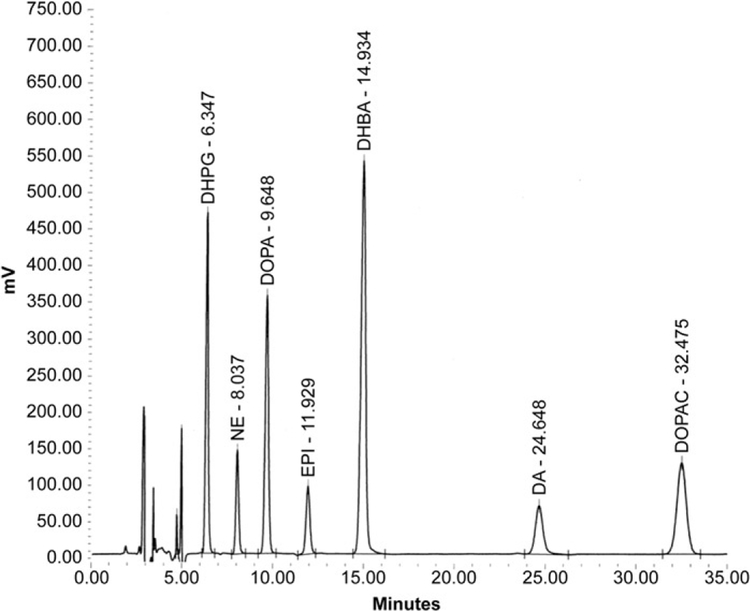 Figure 11.3