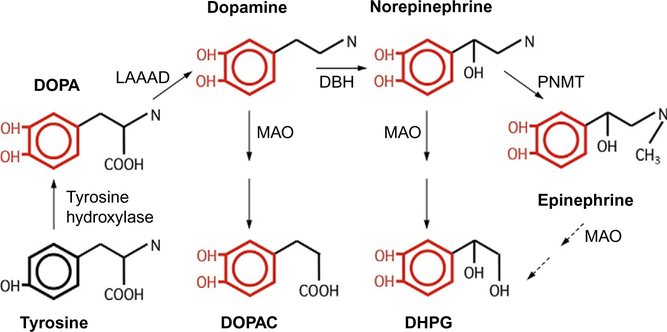 Figure 11.2