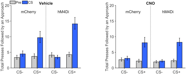 Figure 3—figure supplement 2.