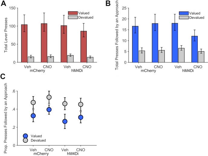 Figure 5—figure supplement 1.