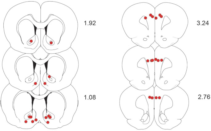 Figure 4—figure supplement 1.