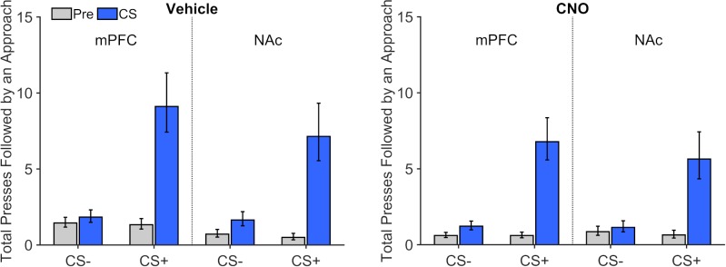 Figure 4—figure supplement 3.