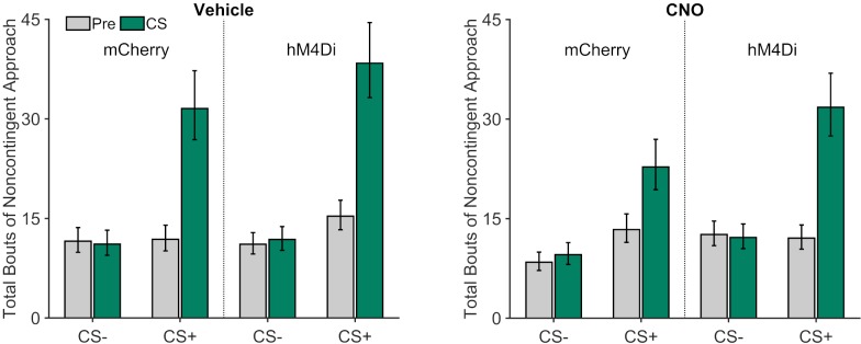 Figure 3—figure supplement 3.