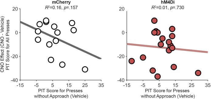 Figure 4—figure supplement 5.