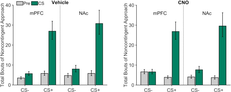 Figure 4—figure supplement 4.