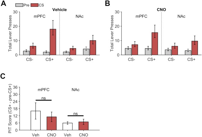 Figure 4—figure supplement 2.