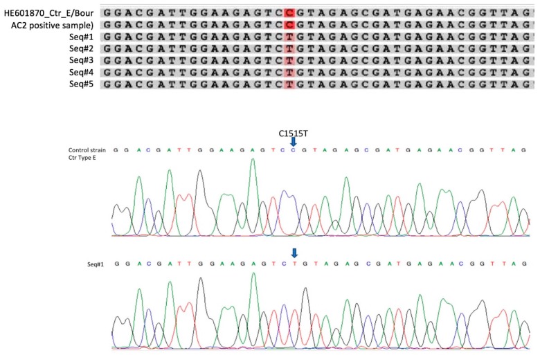 Figure 5