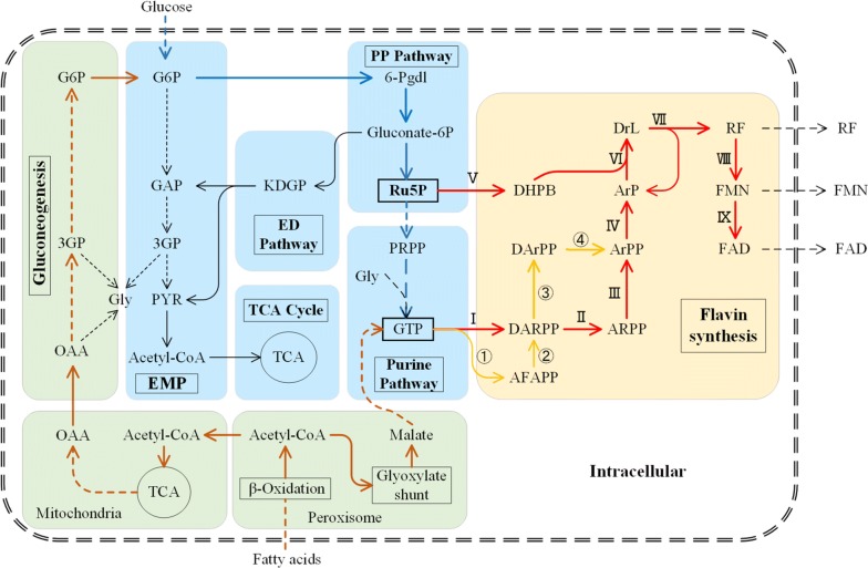 Fig. 2