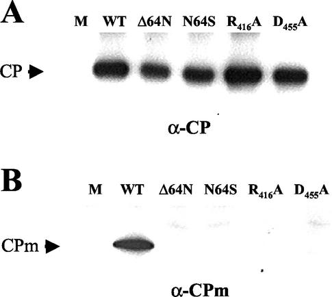 FIG. 7.