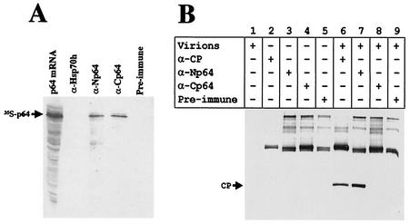 FIG. 5.