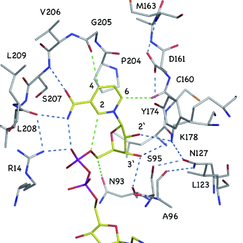 Fig. 6