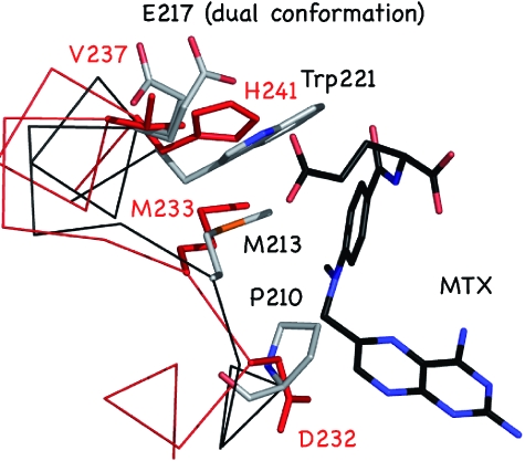 Fig. 8