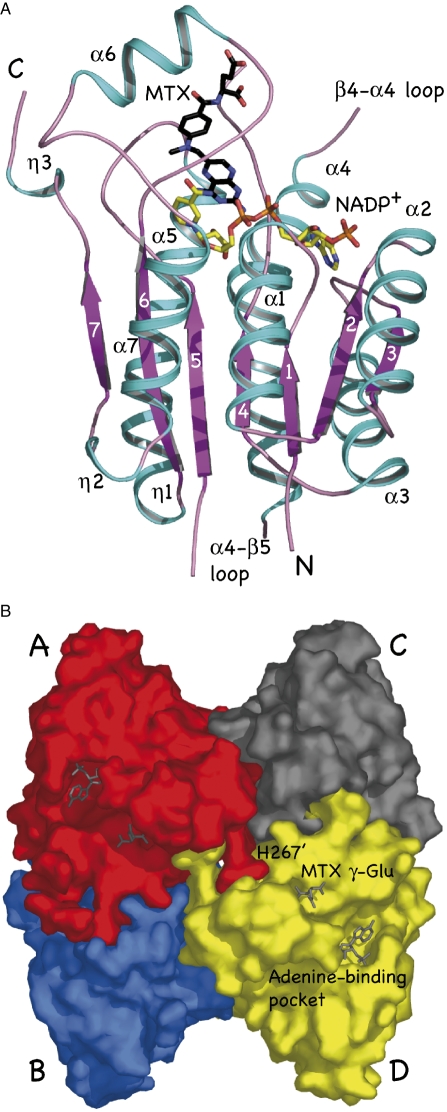 Fig. 3