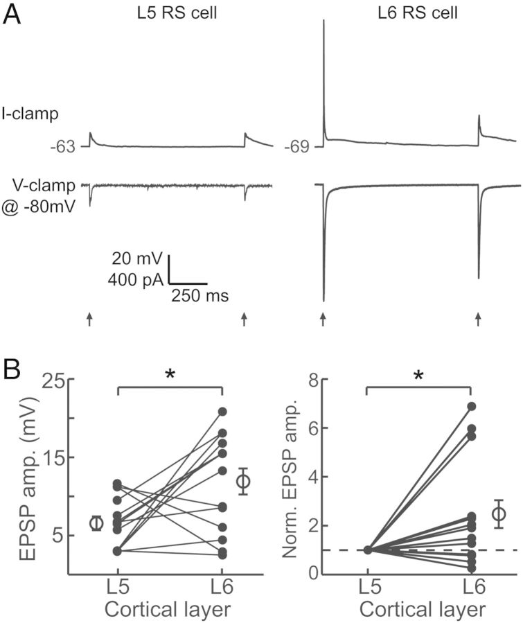 Figure 7.