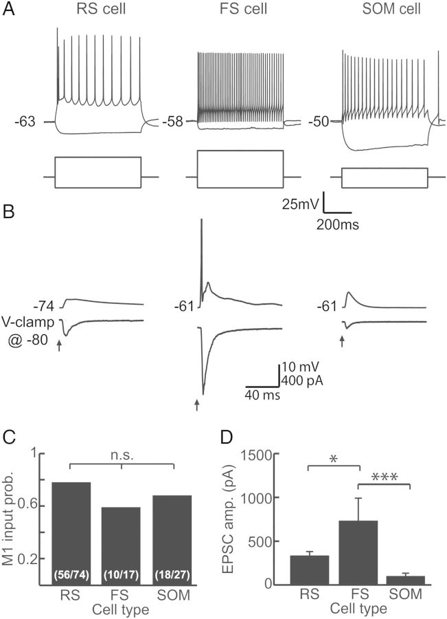 Figure 3.