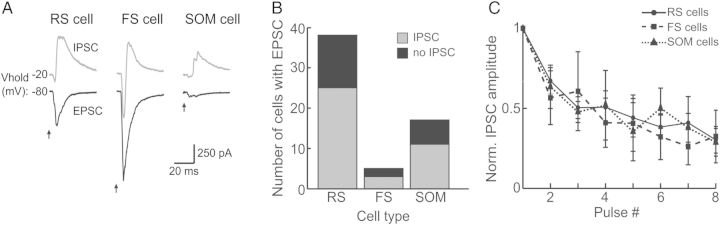 Figure 5.