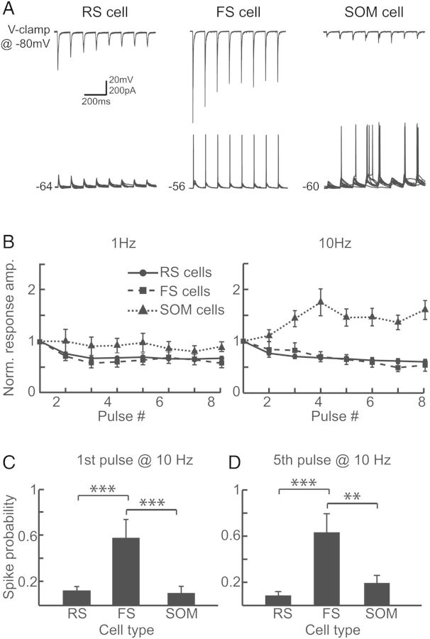 Figure 4.