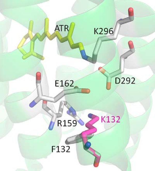 FIGURE 11.