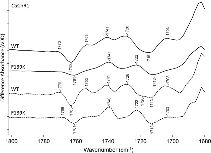 FIGURE 10.