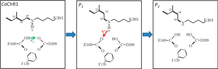 FIGURE 12.