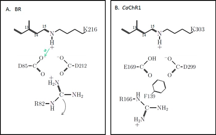 FIGURE 1.